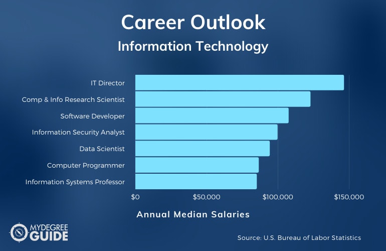 PhD in Information Technology Careers & Salaries