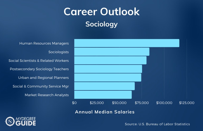 phd sociology careers