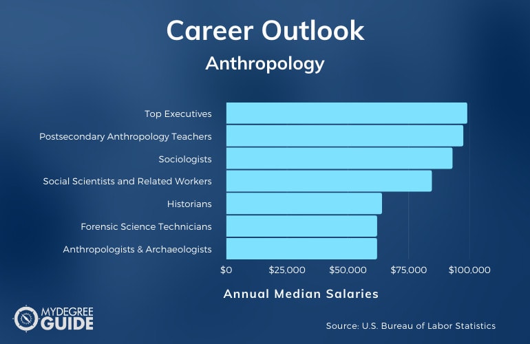 phd anthropology careers