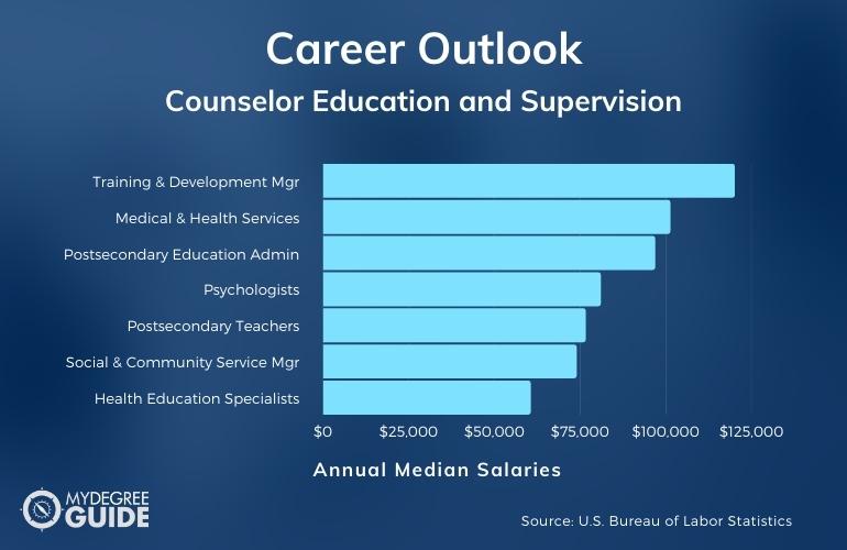 Counselor Education and Supervision Careers & Salaries