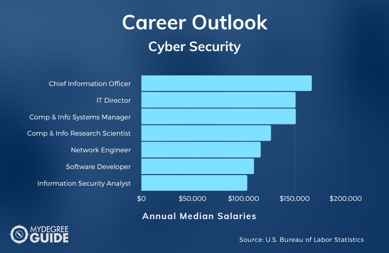 online phd cyber security usa